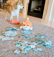 Watch Crystals, Acrylic, 100's Available, Huge Drop-Down List, Fast Shipping 