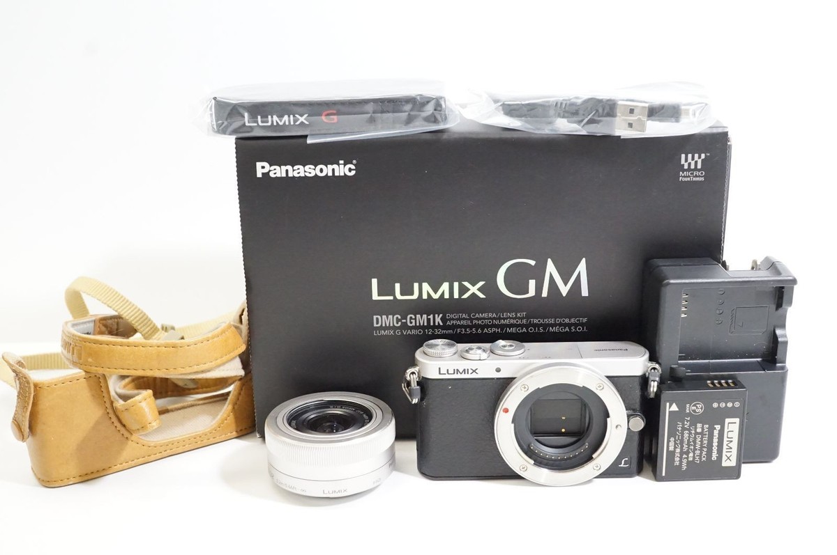Panasonic Lumix DMC-GM1 LUMIX G 3.5-5.6 12-32 Used | eBay