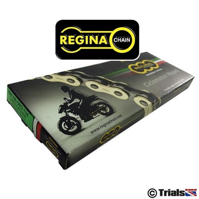 Regina Gold EB-ORO Kette 428 Teilung 134 Glieder inklusive Spaltglied