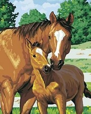 Paint By Numbers Adults kids Horses Field Tree DIY Painting Kit 40x50CM Canvas