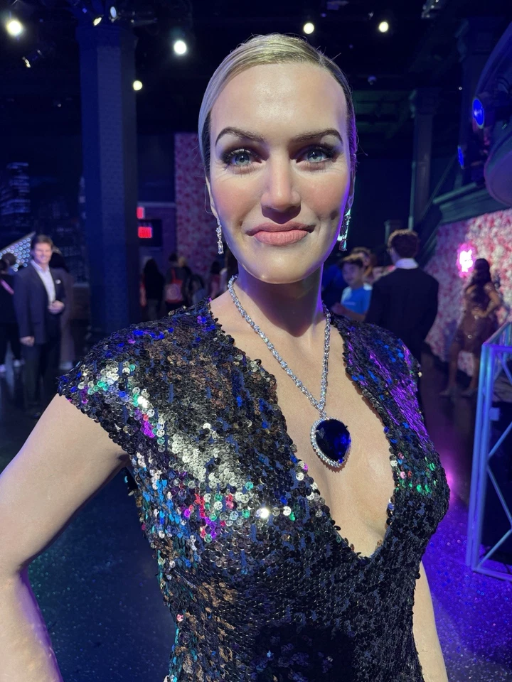 Collectors Most Luxury Version of Titanic, Worn By Kate Winslet Hollywood Movie - Image 4 of 4