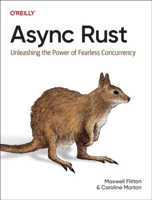 Async Rust by Maxwell Flitton PAPERBACK 9781098149093