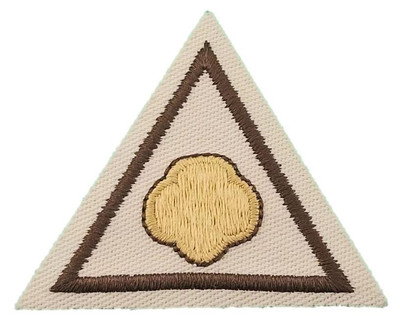 Girl Scouts Try-Its COOKIES COUNT Patch Badge GUIDE Triangle Brownies trefoil