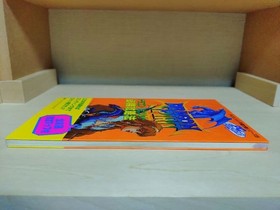 Dragon Spirit PC Engine Strategy Guide Perfect Series 5 Used 1988