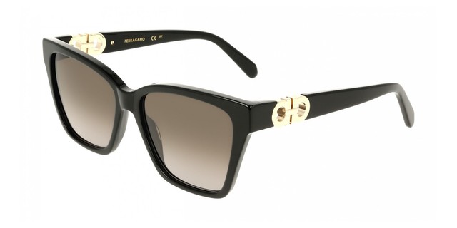 Lunettes de Soleil Ferragamo SF2110S Black 57/16/145 Femme