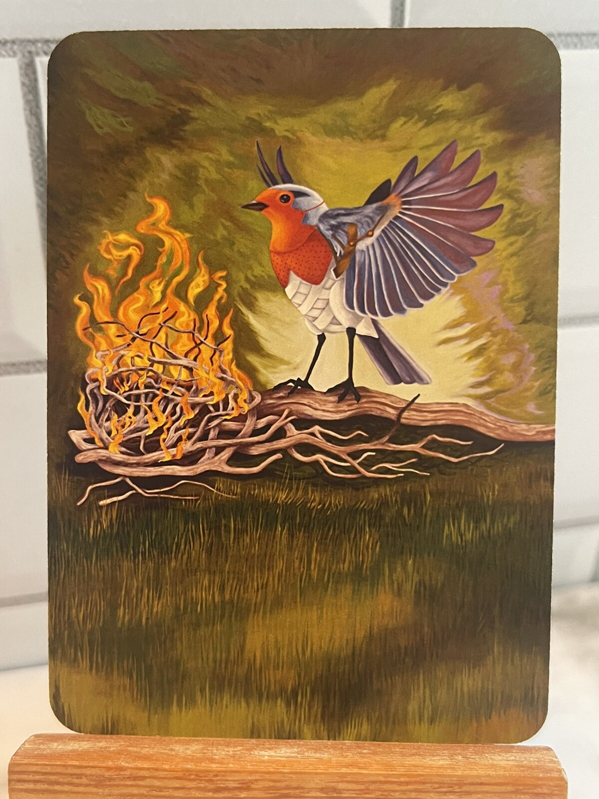 Picture 2 of 2