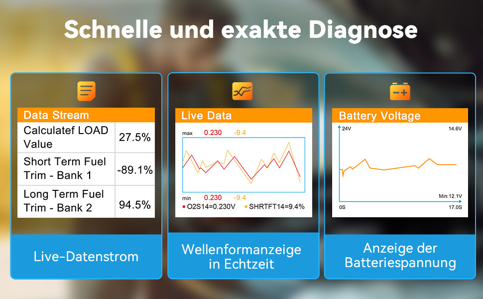 Bild 17 von 17