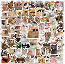 100 Pcs Funny Cat Stickers Cute Cat Meme Stickers Funny Kitten Sticker for Adult
