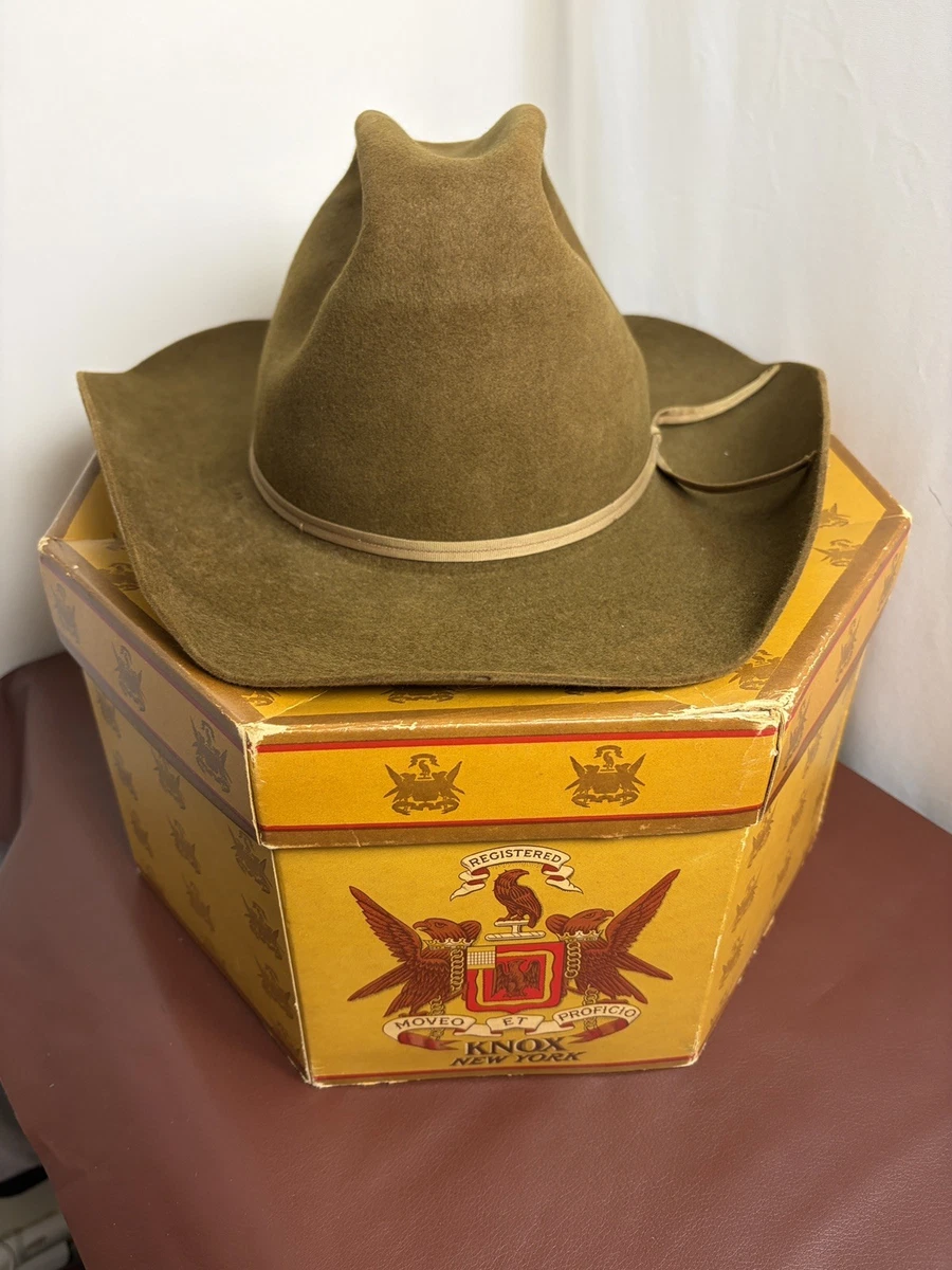 Stetson Beaver Cowboy Vintage Hats for Men for sale | eBay