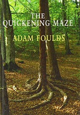 The Quickening Maze Hardcover Adam Foulds