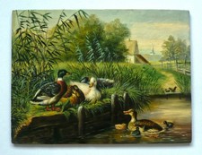 Scena rurale con anatre (olio su tavola)