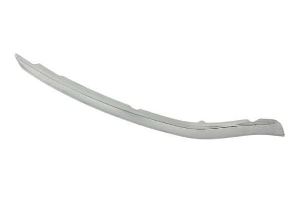 BLIC 6502-07-6040994P Trim/Protection Strip, radiator grille for RENAULT