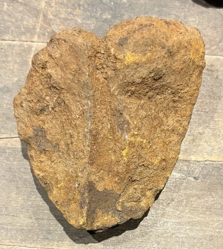 20pdr CS Read shell nose fragment from the Petersburg area