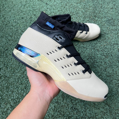 Size 8.5 - Infinite Archives x Air Jordan 17 Retro Low Beach for