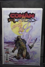 Conan the Barbarian #16 Colleen Doran Variant Titan Comics 2024 Jim Zub 9.0