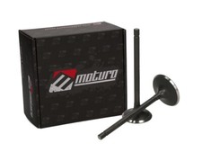 Moturo Soupape D'Échappement Pour Shineray Bashan BS250S-11 ATV Quad