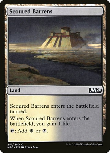 4 Scoured Barrens 4x x4 - NM - Core Set 2020 SPARROW MAGIC - 第 1/1 張圖片