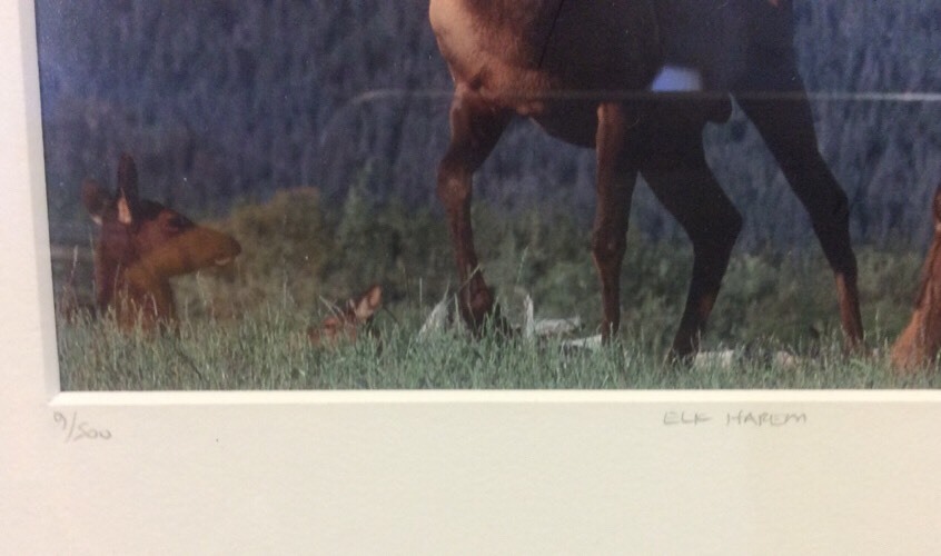 Picture 5 of 12