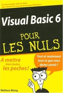 Visual BASIC 6 pour les nuls von Wallace Wang | Buch | Zustand sehr gut