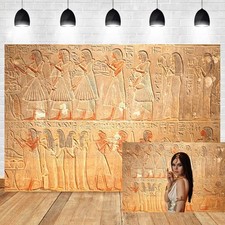 Old Egypt Hieroglyphs Photography Backdrop 10x6.5 FT Carving Wall Vinyl