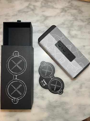 BRAND NEW KAWS XX SONS & DAUGHTERS GRAY SUNGLASSES W CASE - Picture 2 of 9