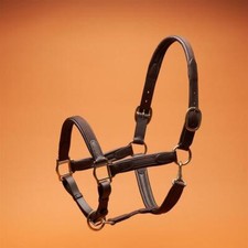 Horsecode Halfter brown Gold WB braun lederhalfter inkl.Führstrick Warmblut