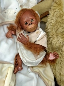 reborn orangutan