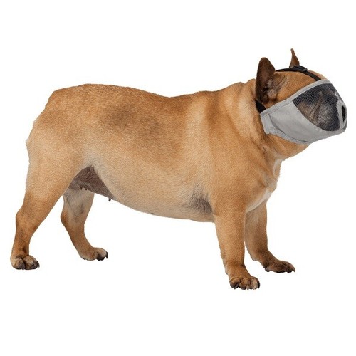 Trixie Dog Muzzle for Short Nosed Breed Full Face - Pink or Grey in 4 Sizes NEW! - 第 2/9 張圖片