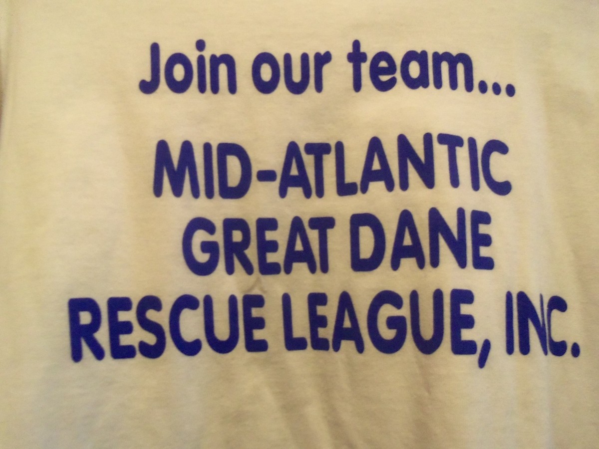 Great Dane Rescue white graphic XL t shirt Mid Atlantic