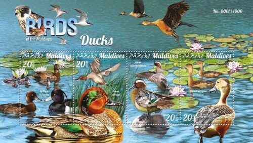 BIRDS OF THE MALDIVES - DUCKS 4-Value MNH Bird Stamp Sheet #210 (2015 Maldives) - Picture 1 of 1
