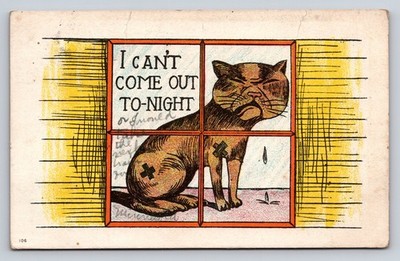 Vintage 1908 Comic Cat Postcard I Can't Come Out To-Night Humorous Illustration