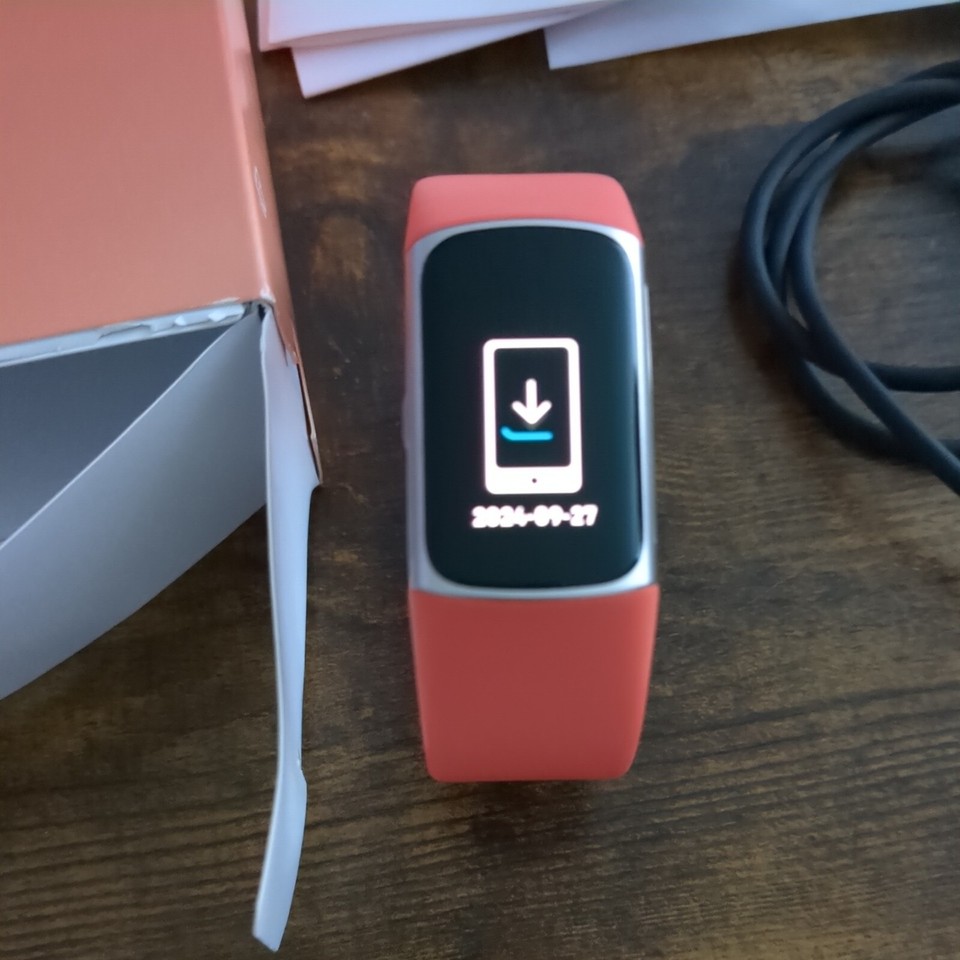 Fitbit Charge 6 Fitness Activity Tracker Champagne Gold Case Coral Band