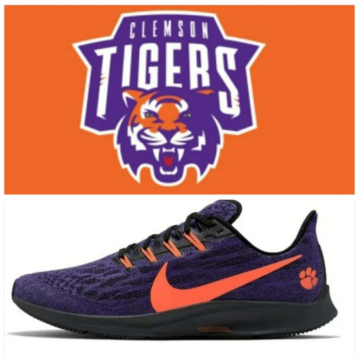 Pegasus 2025 36 ncaa