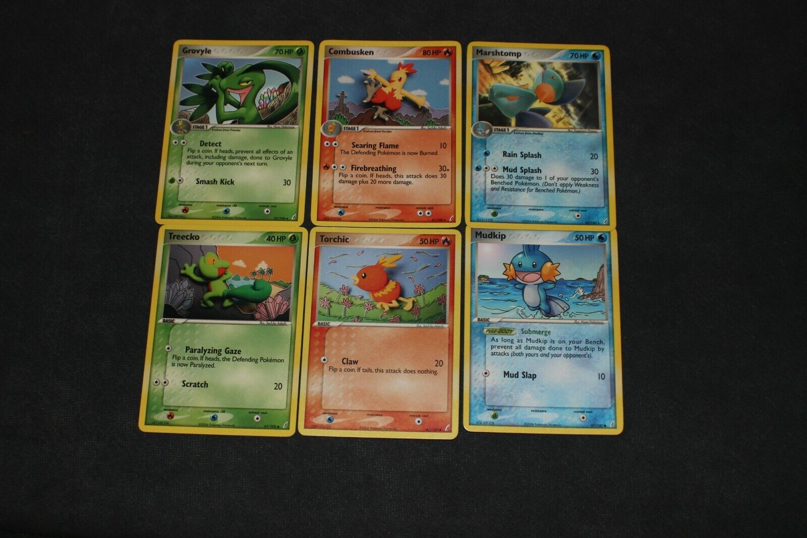  Treecko Mudkip Torchic - Pokemon - 25th Anniversary