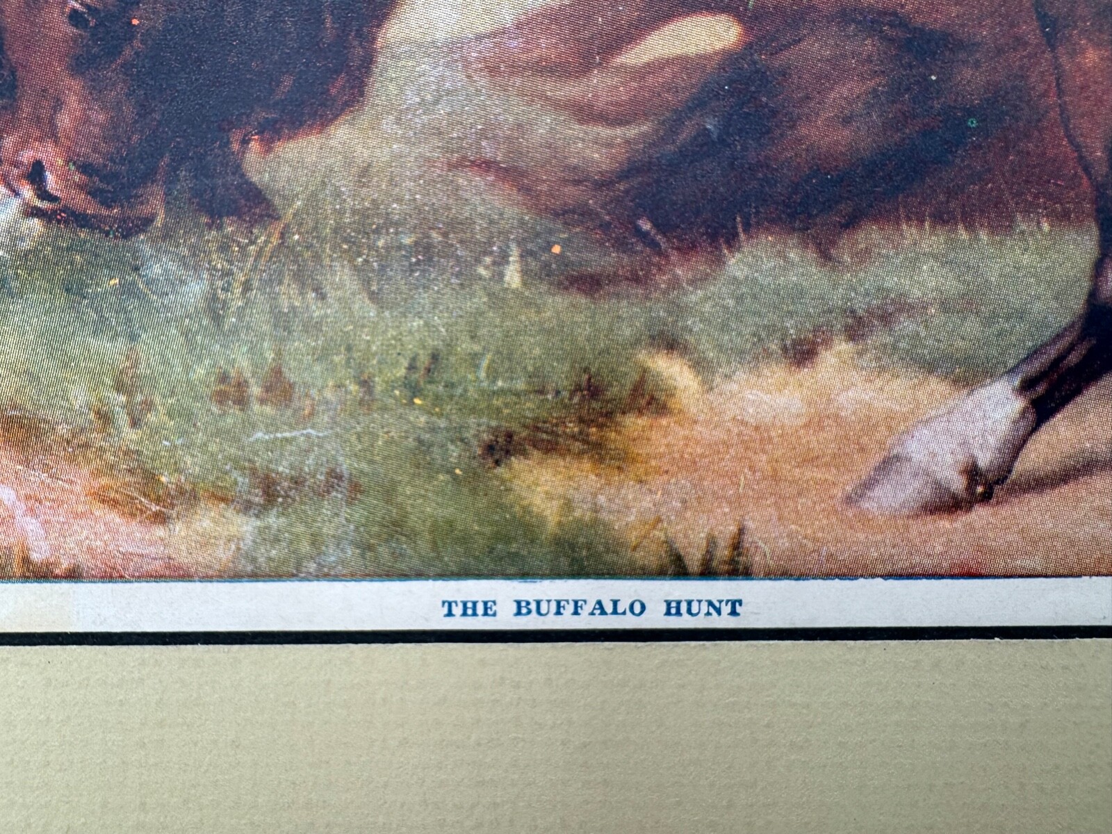 Picture 5 of 8