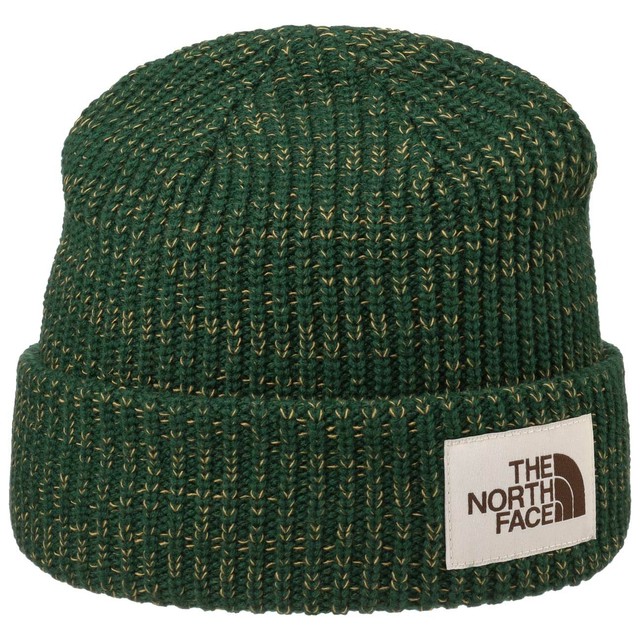 north face salty dog beanie green
