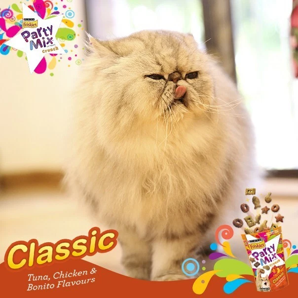 Persian cat cheap treats