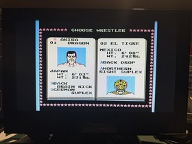 Tecmo World Wrestling for Nintendo NES 1990 Edition, Tested Working
