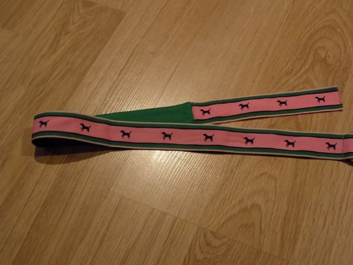 Size 6 Gymboree Smart Girls Rule Kelly Green Pleated Skirt Skort Pink Dog Belt - Picture 4 of 4