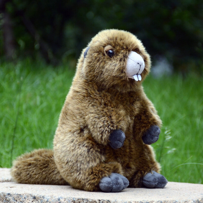 24cm Prairie Marmot Alpine Plush Toy Stuffed Animal Soft Squirrel