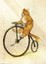 bikepartson_a_scale