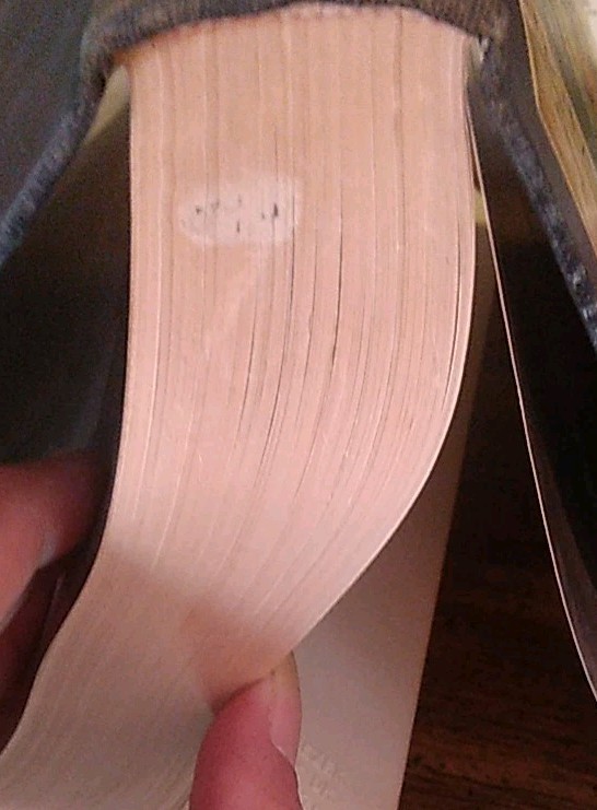 Picture 9 of 12