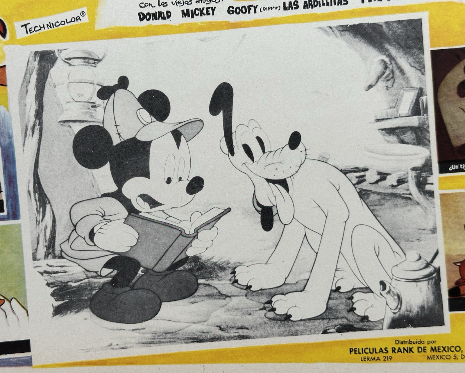 THE HUNTING INSTINT DONALD DUCK WALT DISNEY MEXICAN LOBBY CARD SET 1961 UNUSED