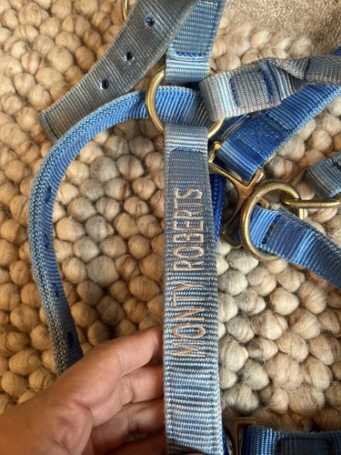 Monty Roberts Doppelhalfter blau groß gereinigt worden - Bild 3 von 5