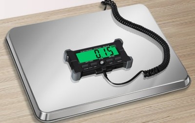 Handheld Electronic Scales, Commercial Bench Scales, Portable Fruit Scales,small
