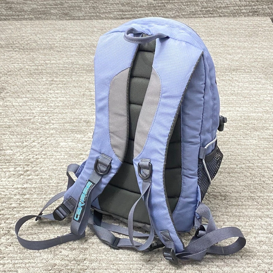 Mochila Caribee 2010 Retro Aligera Tu Carga 18x12 Púrpura ¡PINS DE VIAJE INCLUIDOS! Foto 2 de 4