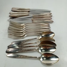Flatware VTG Sectional Oneida Ltd 1954 "Country Lane" Flowers 22 piece