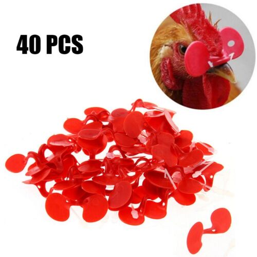Chicken Glasses Chicken Peepers No Pin Bolt Blinders Spectacle Anti-pecking - Afbeelding 1 van 8