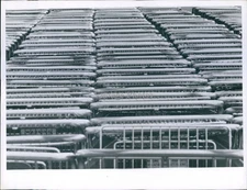 1968 Ricardo Ferro Photographer Shopping Center Carts Signs Warning Photo 6X8