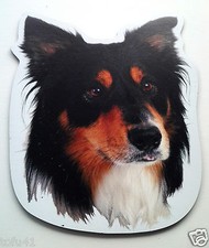   Black and White Collie Dog Magnet  Anywhere / Car Magnet